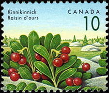 Timbre de 1992 - Raisin d'ours - Timbre du Canada
