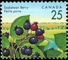 Petite poire 1992 - Timbre du Canada