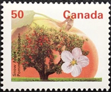 Pomme Fameuse 1994 - Timbre du Canada