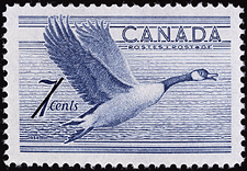 Timbre de 1952 - Outarde canadienne, Branta canadensis - Timbre du Canada