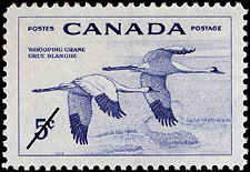 1955 - Whooping Crane - Canadian stamp - Stamps of Canada