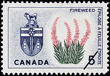Timbre de 1966 - Epilobe à feuille étroite, Yukon - Timbre du Canada