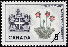 1966 - Pitcher Plant, Newfoundland - Canadian stamp - Stamps of Canada