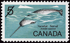 Timbre de 1968 - Narval, Monodon monoceros - Timbre du Canada