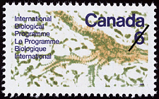 1970 - International Biological Programme - Canadian stamp - Stamps of Canada