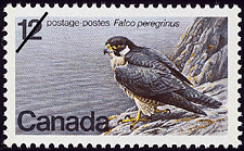 1978 - Peregrine Falcon, Falco peregrinus - Canadian stamp - Stamps of Canada