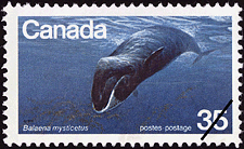 Timbre de 1979 - La baleine franche, Balaena mysticetus - Timbre du Canada
