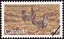 Greater Prairie Chicken, Tympanuchus cupido pinnatus  1980 - Canadian stamp