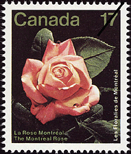 Les Floralies de Montréal, The Montreal Rose 1981 - Canadian stamp