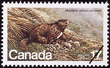 1981 - Vancouver Island Marmot, Marmota vancouverensis - Canadian stamp - Stamps of Canada