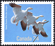 Timbre de 1986 - Oie des neiges - Timbre du Canada