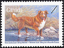 1988 - Nova Scotia Duck Tolling Retriever - Canadian stamp - Stamps of Canada
