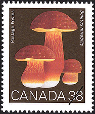 1989 - Boletus mirabilis, Admirable Boletus - Canadian stamp - Stamps of Canada