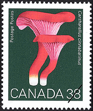 1989 - Cantharellus cinnabarinus, Cinnabar Chanterelle - Canadian stamp - Stamps of Canada