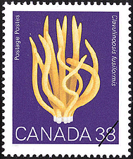 1989 - Clavulinopsis fusiformis, Spindle Coral - Canadian stamp - Stamps of Canada