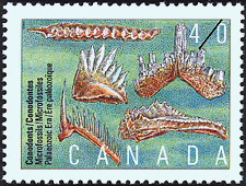 Timbre de 1991 - Conodontes, Microfossiles, Ère paléozoïque - Timbre du Canada
