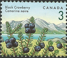 Black Crowberry 1992 - Canadian stamp