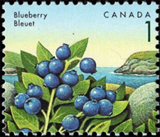 1992 - Blueberry - Canadian stamp - Stamps of Canada