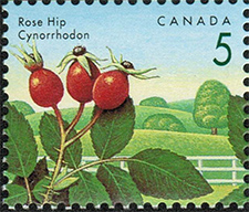 Rose Hip 1992 - Canadian stamp